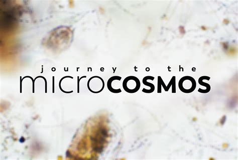 Journey to the Microcosmos - Utforska en Häpnadsväckande Mikrokosmos och Lär Dig om Livets Värld!